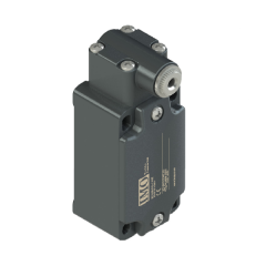 Limit Switch, Standard