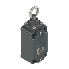 Limit Switch, Standard